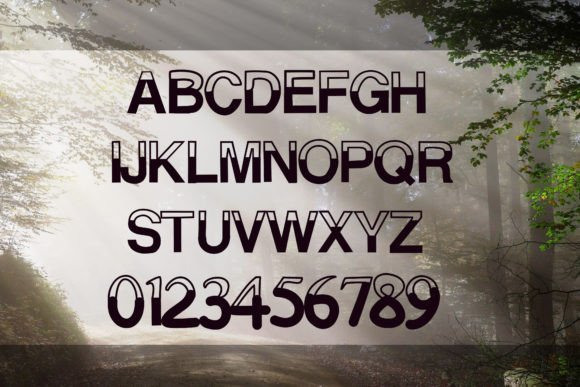 Half: The Quirky Typeface That Transformed My Brand Identity